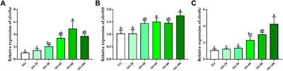 Cloning and expression characterization of elongation of very long-chain fatty acids protein 6 (elovl6) with dietary fatty acids, ambient salinity and starvation stress in Scylla paramamosain